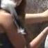 Tim McGraw My Little Girl Flicka