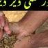 Gela Wanda Khilany Ka Scientific Method II Wanda Gela Dain Ya Khushk II How To Offer Wanda