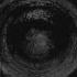 Secrets Of The Moon Mark Of Cain