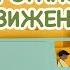 Правила дорожного движения Детская песенка мультик