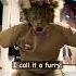 Why Is My Fav Childhood Movie Trending Therian Furry Funny Silly Trend Antizoo