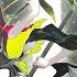 Milkychan Feat Cereza Evanesce City 東方 Touhou Electroswing Norowareta Night