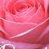 Romantic Love Songs 2025 Best 70s 80s 90s Oldies Relaxing Beautiful Love Hits Playlist