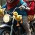 Dog Ducks The Cat Chase Chaos Viralvideo Trending Cat