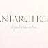 David Maranha Antarctica