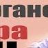 Таалайбек Бектурганов НАЗИРА Remix Dj MI Заманбап