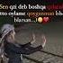 Bilsen Bilarsan Love