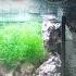 How To Set Up A Refugium For A Thriving Reef Tank Year Of The Reef Ep 12