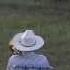 Serenading The Cattle With My Trombone Lorde Royals