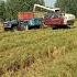 Farming Paka क र Baar Ni Farming Tractor Farm Farmer