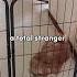 A Total Stranger Changes My Life Forever Stranger