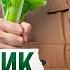 ТОП 7 продуктов для кишечника ешь и чувствуй себя как в 20 лет