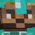 Diamonds Farzy S Minecraft Song