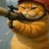 Fat Orange Cat Starts A War Cat Vs Dog War Funny Animation