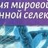 Биология 9 класс Пасечник 26 Достижения мировой и отечественной селекции