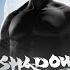 Shadow Fight 2 In 3D