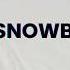 IS IT WORTH IT Summer Snowboarding Les 2 Alpes France