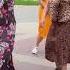 Вишня алая спелая 15 06 24