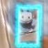 зову Катю Машу и каких то двух гномы Memes реки Worlddontrevolvearoundyou Roblox мем Cat