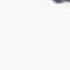 Snoop Doggy Dogg Tha Shiznit DJ Screw Bangin Down The