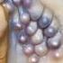 Kerang Mutiara Lebih 1 Butir Mutiara Halmenarik