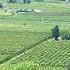 Shoutout To My Cherry Neighbors Usa Usafarming