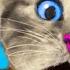 MY LITTLE KITTEN ADVENTURE CARTOON SUPER KITTY AND ANIMAL FRIENDS BIG ADVENTURE DAY