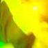 Rising Girl Rubberducky C4C 09 Dom Im Berg