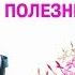 Иван чай Лечебные свойства Лесиовская Е Е профессор доктор мед наук