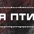 TMNV МОЯ ПТИЦА LIRYC VIDEO