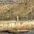 Crocodile Ne Soo Kar Apni Awkat Dhika Di Shorts