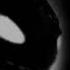 Dark Insane Edit Audios Bc You Wanna Kill Them TIMESTAMPS LucyEdits