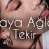 Tekir Ağlaya Ağlaya Halil Yıldırım Remix