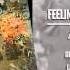 Feeling Every Sunset We Believe In Love But Love Doesn T Believe In Us