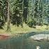 Sons Of The Forest 100 Дней Выживания В Лесу 5 День 85