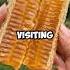 The Secret Behind Every Drop Of Honey SnapZen Satisfying HoneyPour