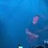 Sleeping With Sirens With Ears To See And Eyes To Hear LIVE