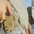 Off Grid Knives Hoglet EDC Fixed Blade Knife Scout Carry