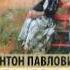 Аудиокнига Антон Чехов Три сестры