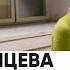 Лекция Аси Казанцевой Эволюционный смысл любви
