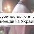 Грузинка матом гонит украинцев на родину чтоб не угробили Грузию как Украину