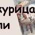 Чёрная курица или Подземные жители А Погорельский Аудиокнига Повесть сказка дана в сокращении