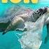 Water Pollution For Kids Learn How To Keep Our Water Clean