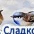 Читаем книгу Н Сладкова Лесной календарь Январь часть 2