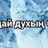 Қасқыр даусы