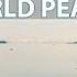 Heartfulness Relaxation And Meditation UN World Peace Day 21st September English