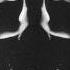 Mott The Hoople 1970 Mad Shadows 05 I Can Feel Wmv