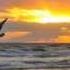 Inca Sol Meditation Music