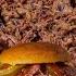 How To Make Pulled Pork On A Charcoal BBQ Beginner BBQ Guide