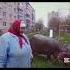 барабулька бегемот нейросеть
